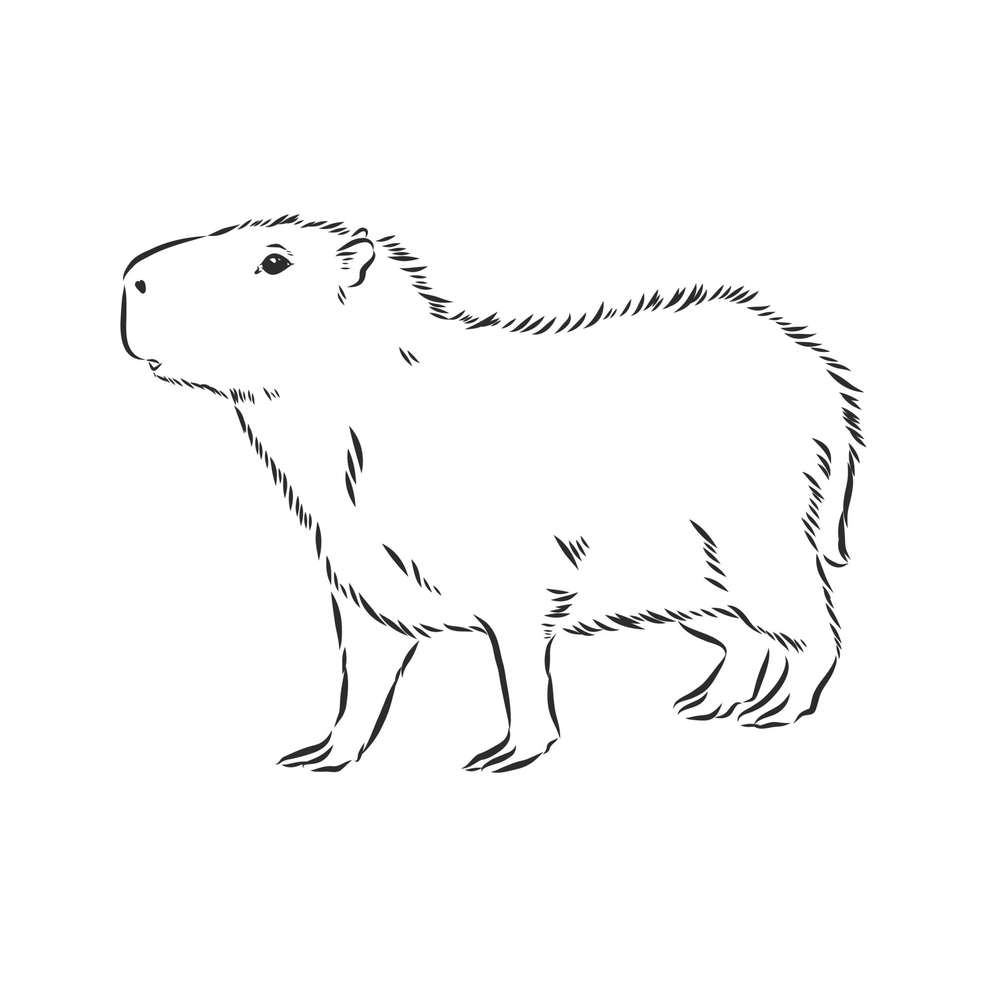 Tô màu capybara cute – Bé vừa học vừa chơi, thêm yêu động vật. Tô màu capybara cute – Bé vừa học vừa chơi, thêm yêu động vật.