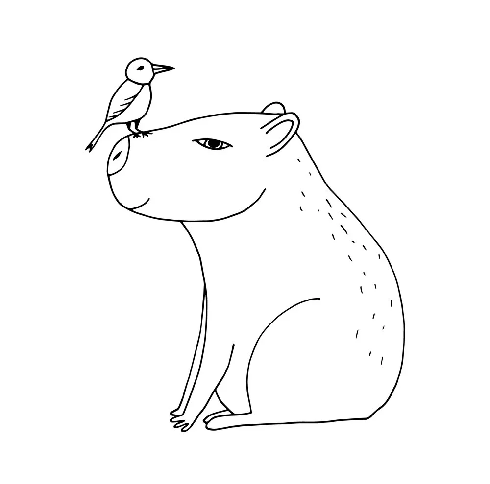 Cùng bé yêu khám phá tranh tô màu capybara cute độc đáo. Cùng bé yêu khám phá tranh tô màu capybara cute độc đáo.