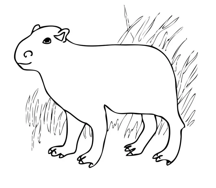 Tranh tô màu capybara cute ngộ nghĩnh, kích thích sự sáng tạo của trẻ. Tranh tô màu capybara cute ngộ nghĩnh, kích thích sự sáng tạo của trẻ.