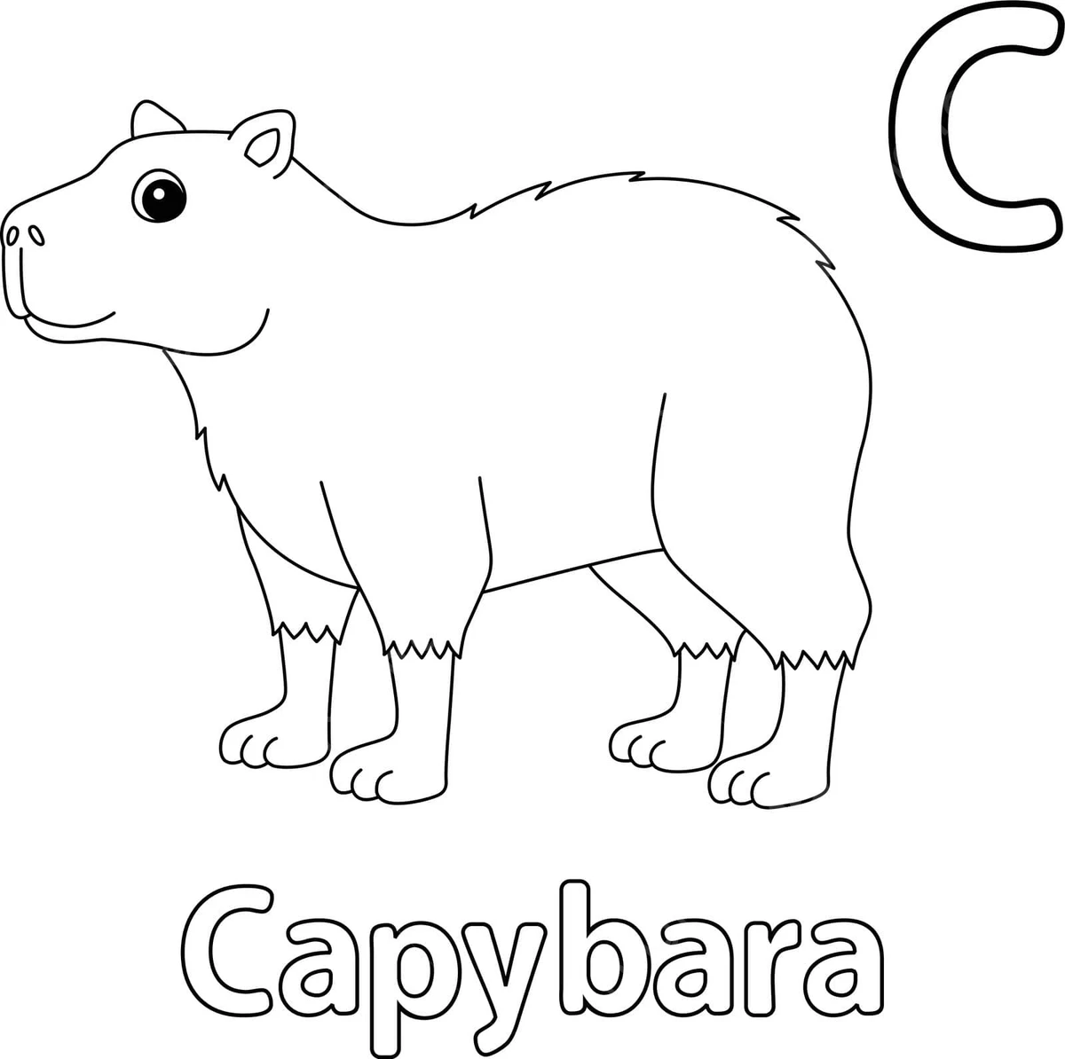 Tranh tô màu capybara cute đáng yêu, kích thích trí tưởng tượng của bé. Tranh tô màu capybara cute đáng yêu, kích thích trí tưởng tượng của bé.