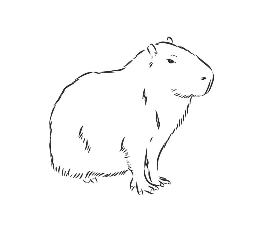 Cùng bé tô màu capybara, khám phá sự thú vị của loài động vật lớn nhất thế giới. Cùng bé tô màu capybara, khám phá sự thú vị của loài động vật lớn nhất thế giới.