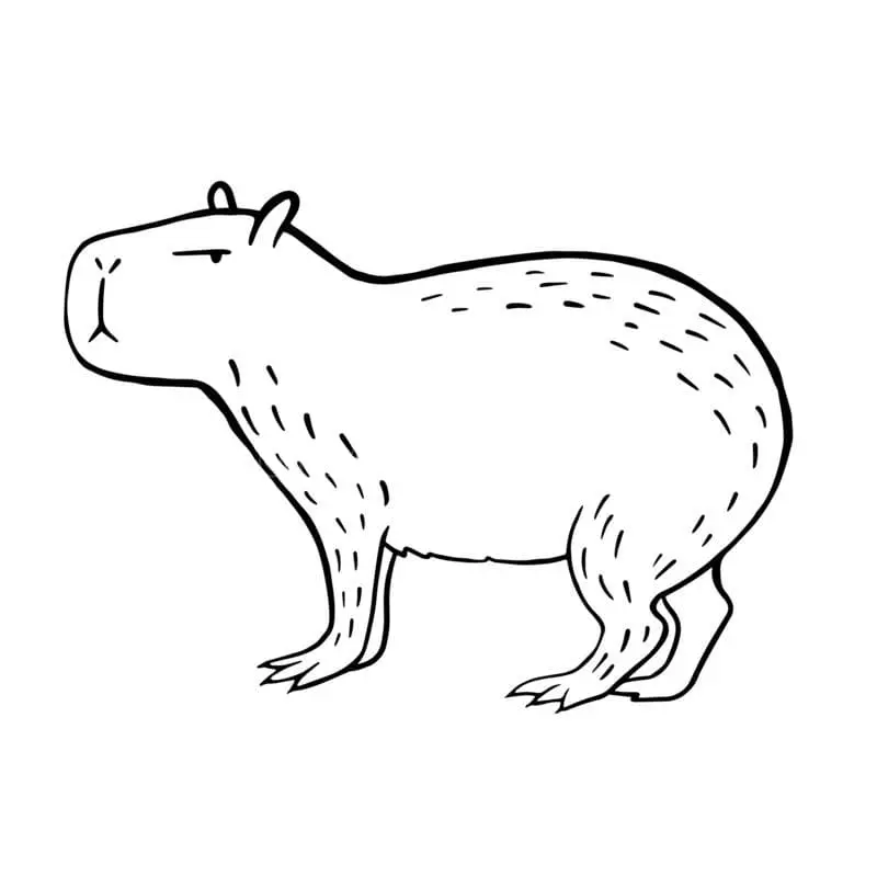 Tranh tô màu capybara đẹp nhất, giúp trẻ phát triển khả năng sáng tạo. Tranh tô màu capybara đẹp nhất, giúp trẻ phát triển khả năng sáng tạo.