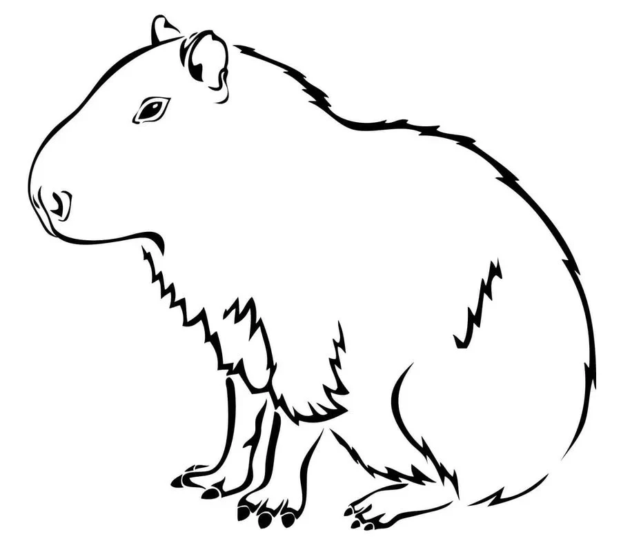 Tranh capybara cute dễ tô, bé yêu sẽ sáng tạo không ngừng. Tranh capybara cute dễ tô, bé yêu sẽ sáng tạo không ngừng.