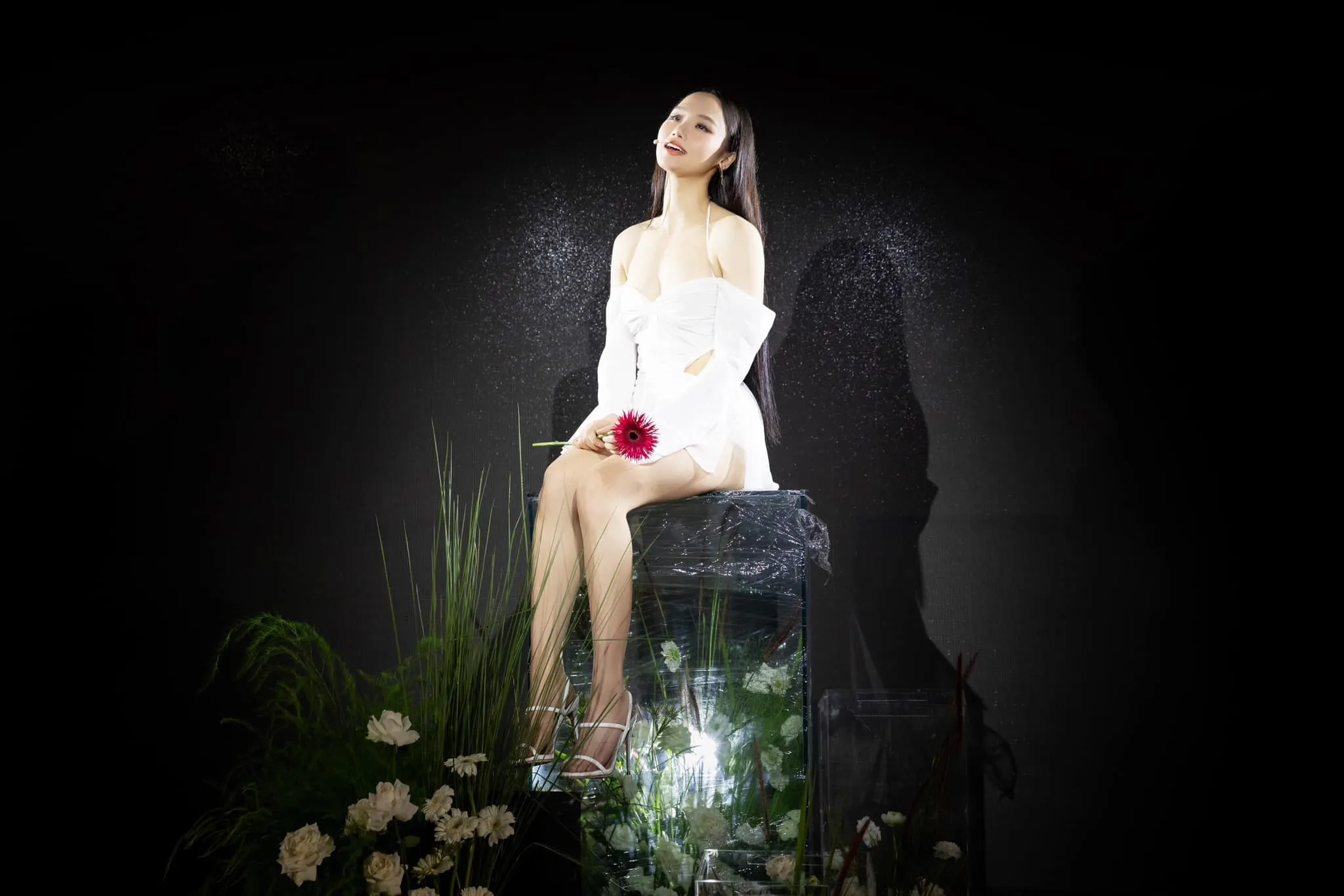 Những vai diễn ấn tượng của diễn viên Miu Lê luôn gây sự chú ý. Những vai diễn ấn tượng của diễn viên Miu Lê luôn gây sự chú ý.