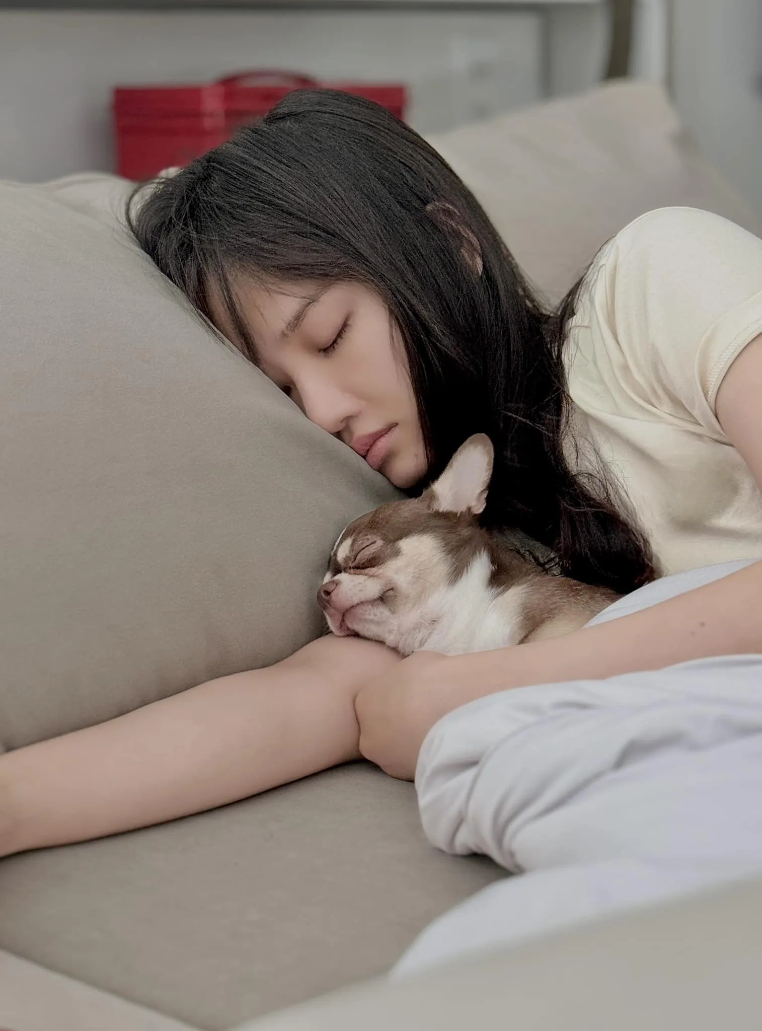 Miu Lê vẻ đẹp hoàn hảo từ trong ra ngoài. Miu Lê vẻ đẹp hoàn hảo từ trong ra ngoài.