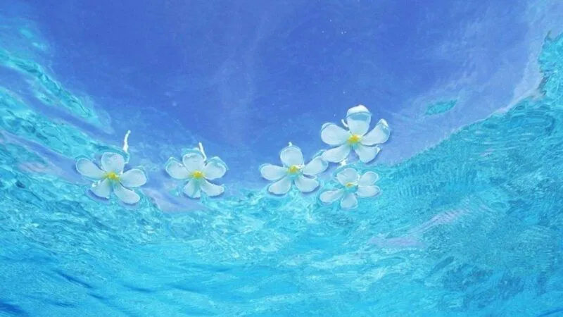 Tỏa sáng phong cách cá nhân với avatar màu xanh đầy sức sống. Tỏa sáng phong cách cá nhân với avatar màu xanh đầy sức sống.