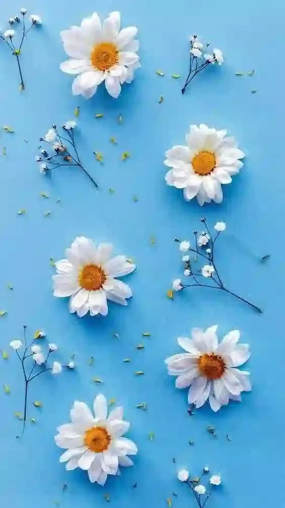 Hãy để avatar màu xanh làm nổi bật phong cách riêng của bạn. Hãy để avatar màu xanh làm nổi bật phong cách riêng của bạn.
