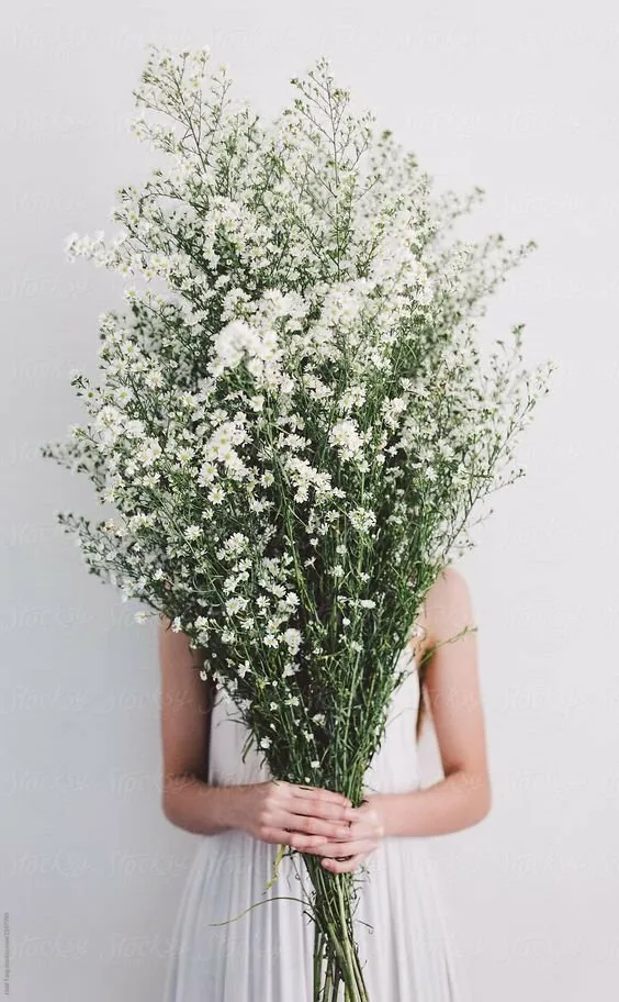 Ảnh cô gái ôm bó hoa cúc trắng, đẹp nhẹ nhàng và thanh thoát Ảnh cô gái ôm bó hoa cúc trắng, đẹp nhẹ nhàng và thanh thoát