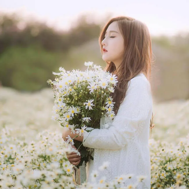 Khoảnh khắc ngọt ngào của cô gái ôm bó hoa cúc vàng Khoảnh khắc ngọt ngào của cô gái ôm bó hoa cúc vàng