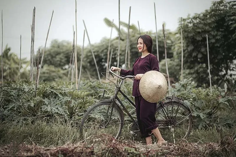 Hình ảnh cô gái quê giản dị giữa cánh đồng lúa vàng Hình ảnh cô gái quê giản dị giữa cánh đồng lúa vàng