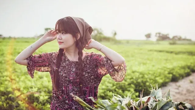 Hình ảnh cô gái quê đang hái lúa trên cánh đồng bát ngát Hình ảnh cô gái quê đang hái lúa trên cánh đồng bát ngát