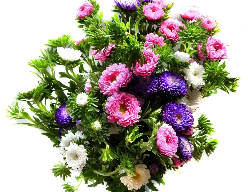 Ảnh hoa tặng mẹ mang thông điệp yêu thương giản dị Ảnh hoa tặng mẹ mang thông điệp yêu thương giản dị