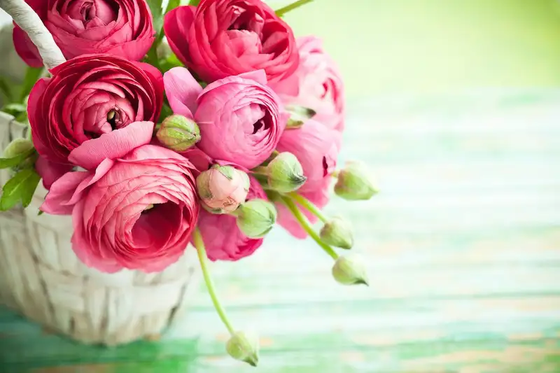 Hoa tặng mẹ - hình ảnh đẹp và ý nghĩa Hoa tặng mẹ - hình ảnh đẹp và ý nghĩa
