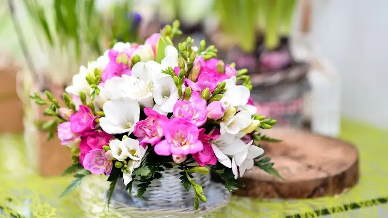 Tình cảm chân thành qua hình ảnh hoa tặng mẹ Tình cảm chân thành qua hình ảnh hoa tặng mẹ
