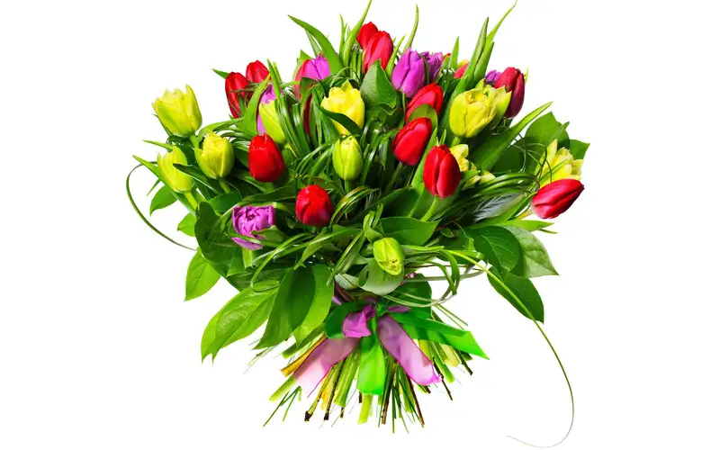 Bó hoa rực rỡ, ảnh hoa tặng mẹ chứa chan tình yêu Bó hoa rực rỡ, ảnh hoa tặng mẹ chứa chan tình yêu
