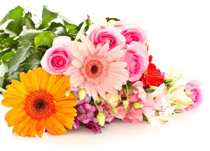 Khoảnh khắc tặng hoa cho mẹ, tình cảm đong đầy Khoảnh khắc tặng hoa cho mẹ, tình cảm đong đầy