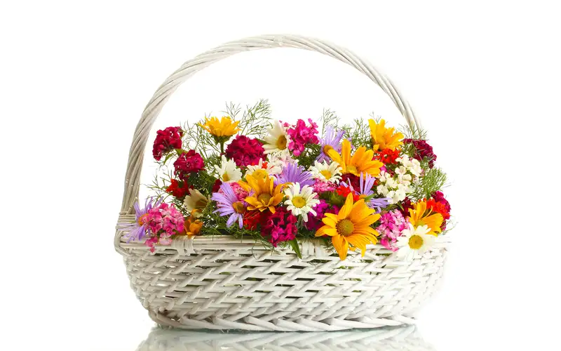 Chọn ảnh hoa tặng đối tác để thể hiện sự chân thành Chọn ảnh hoa tặng đối tác để thể hiện sự chân thành