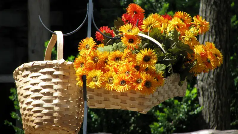 Ảnh hoa tặng đối tác mang đậm dấu ấn cá nhân Ảnh hoa tặng đối tác mang đậm dấu ấn cá nhân