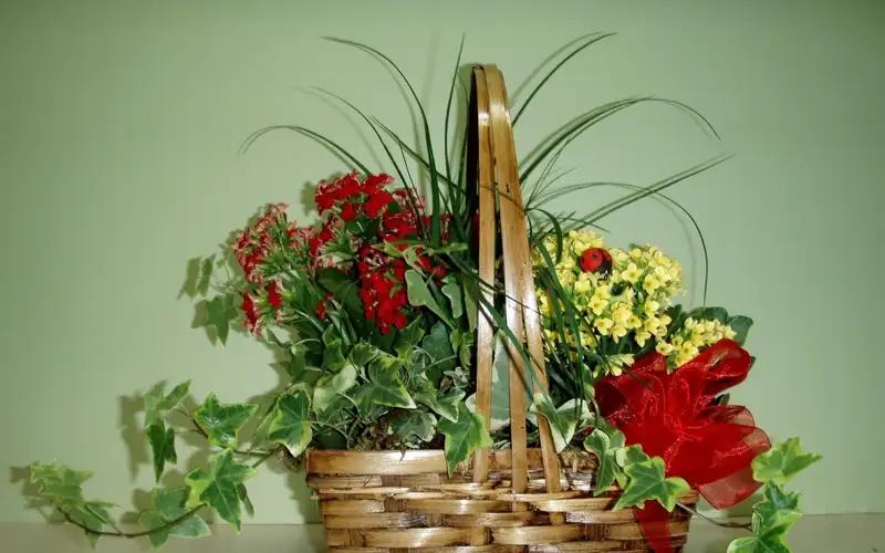 Hoa tặng đối tác giúp gắn kết mối quan hệ hợp tác Hoa tặng đối tác giúp gắn kết mối quan hệ hợp tác