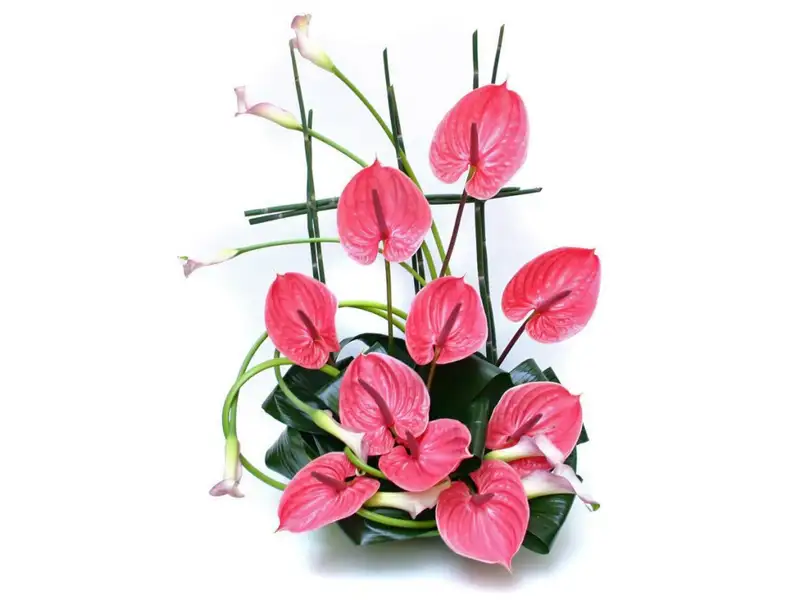 Hoa tặng hội nghị đẹp mang lại cảm giác thân thiện
