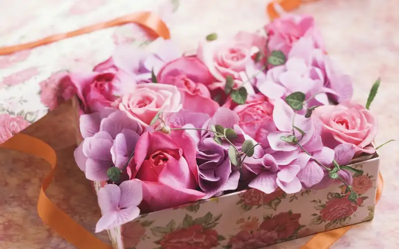 Ảnh hoa tặng người yêu mang thông điệp tình yêu ngọt ngào Ảnh hoa tặng người yêu mang thông điệp tình yêu ngọt ngào