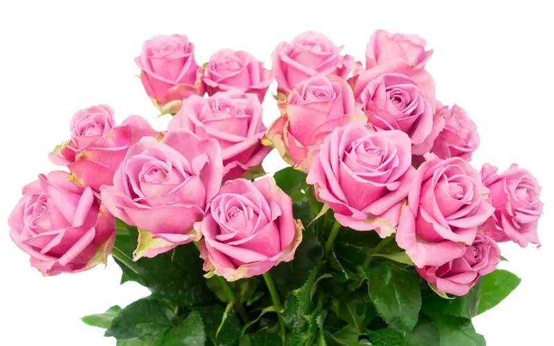 Hoa tặng người yêu tạo nên khoảnh khắc đáng nhớ Hoa tặng người yêu tạo nên khoảnh khắc đáng nhớ
