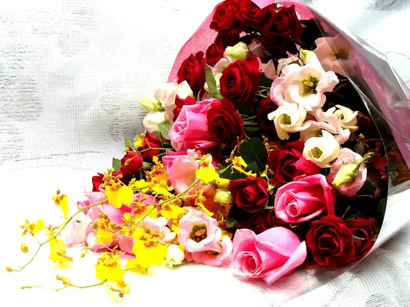 Hoa tặng người yêu đẹp nhất làm bừng sáng cảm xúc Hoa tặng người yêu đẹp nhất làm bừng sáng cảm xúc