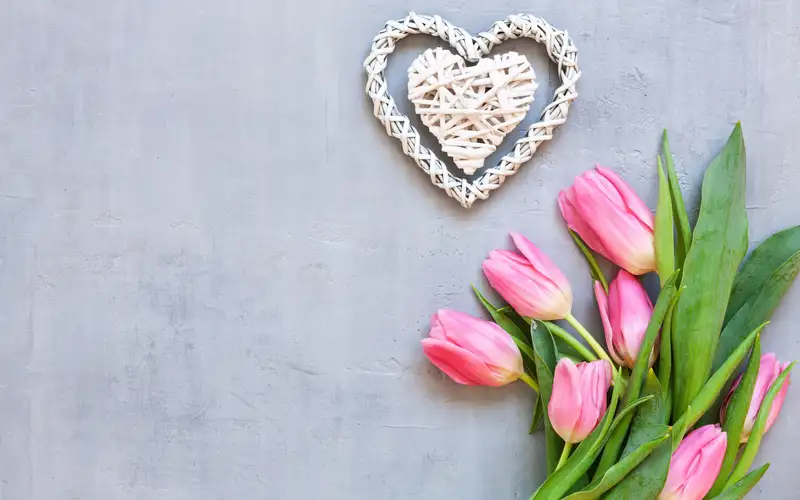 Hoa tặng người yêu đẹp nhất thể hiện sự quan tâm Hoa tặng người yêu đẹp nhất thể hiện sự quan tâm