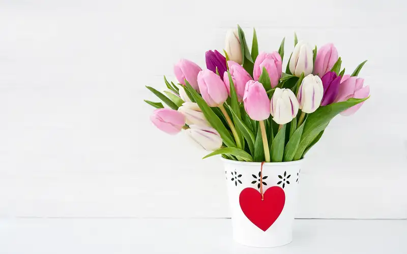 Hoa tặng người yêu đẹp nhất gửi gắm yêu thương dịu dàng Hoa tặng người yêu đẹp nhất gửi gắm yêu thương dịu dàng