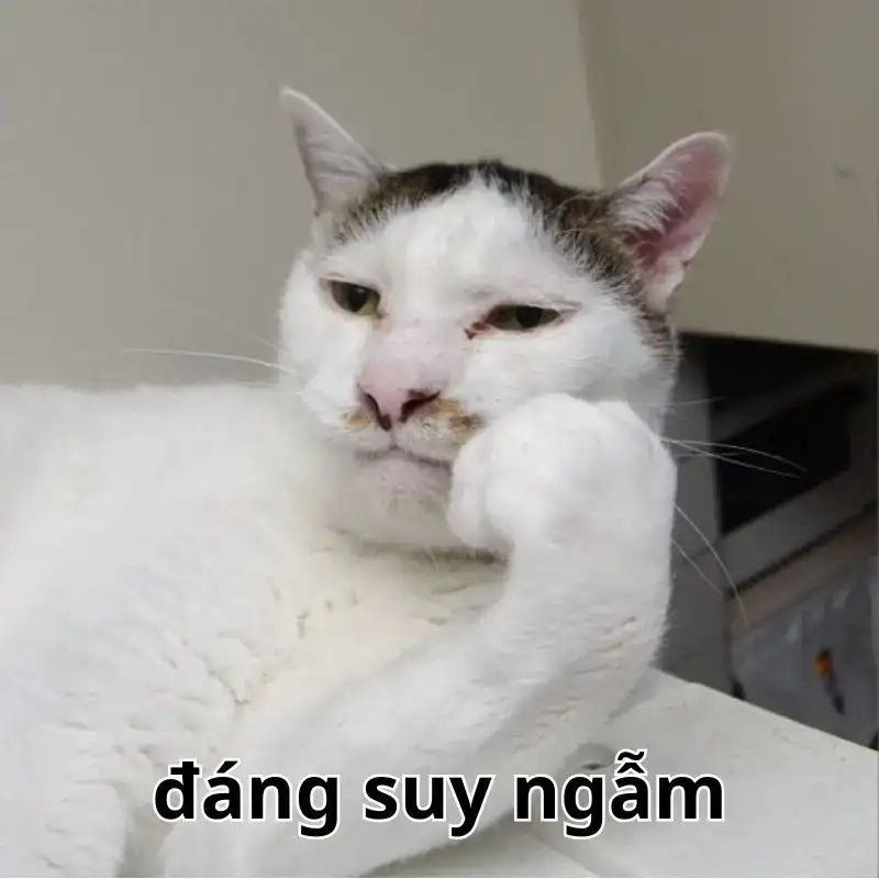 Meme suy làm giảm căng thẳng