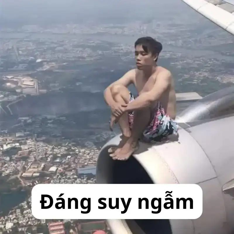 Meme suy khiến người xem vui vẻ