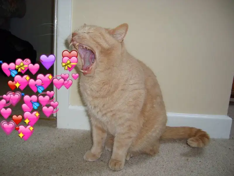 Thả tim meme lan truyền sự yêu mến