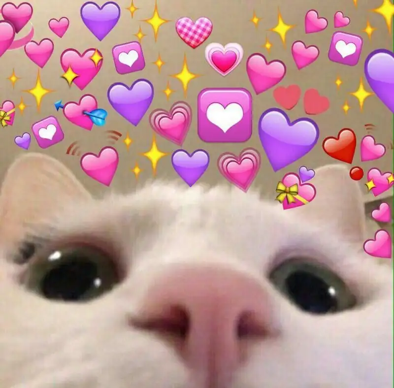 Meme thả tim với nụ cười dễ thương