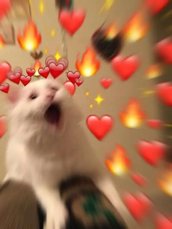 Thả tim meme làm cuộc sống thêm ý nghĩa