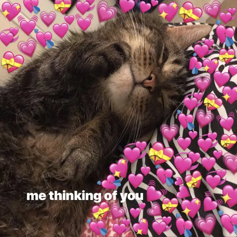 Meme thả tim truyền cảm hứng tích cực