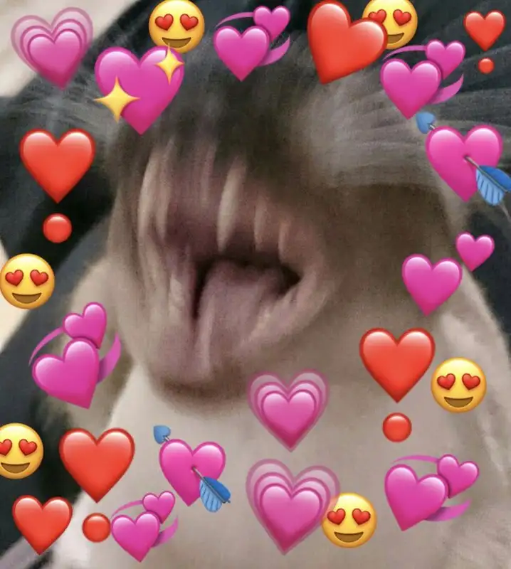 Thả tim meme làm người xem thích thú