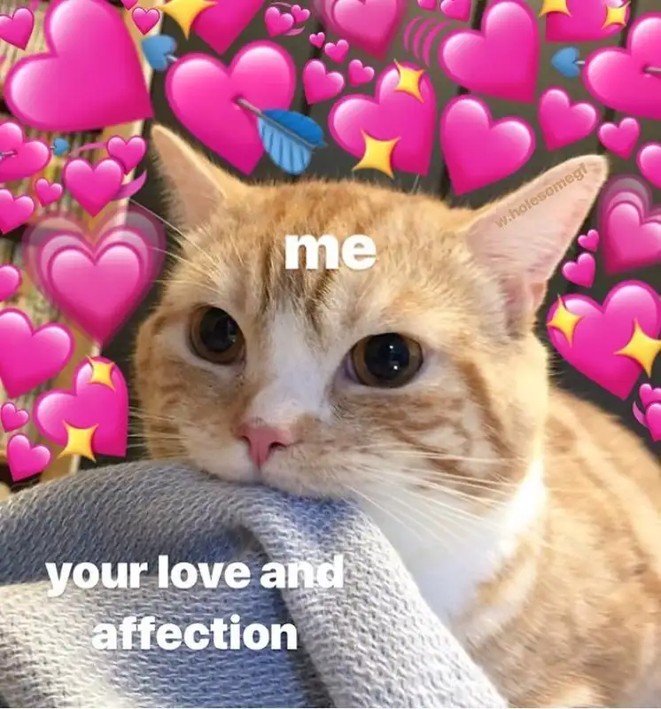 Meme thả tim tạo cảm giác gần gũi