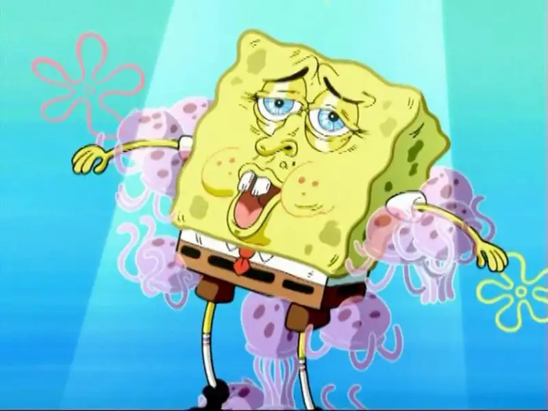 Spongebob meme dễ thương khó cưỡng