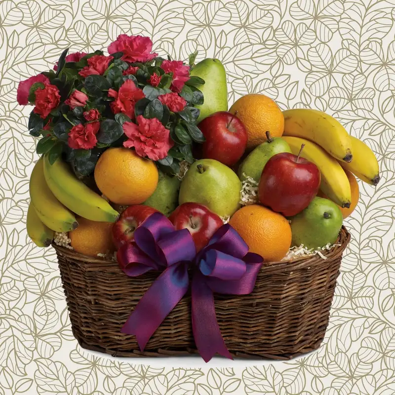 Hình ảnh giỏ hoa quả tặng mang đến sự bất ngờ và hạnh phúc Hình ảnh giỏ hoa quả tặng mang đến sự bất ngờ và hạnh phúc
