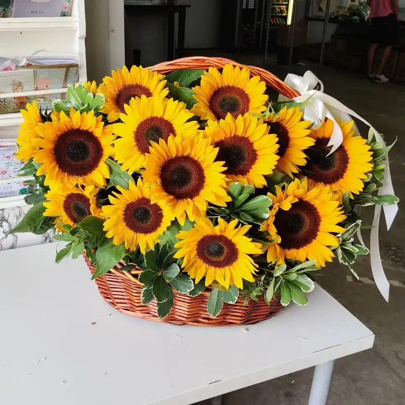 Hoa tặng khai trương đẹp với lời chúc thành công lâu dài Hoa tặng khai trương đẹp với lời chúc thành công lâu dài