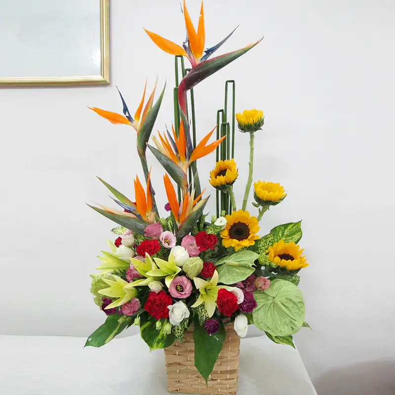 Hoa tặng khai trương đẹp giúp khởi đầu suôn sẻ và thành công Hoa tặng khai trương đẹp giúp khởi đầu suôn sẻ và thành công