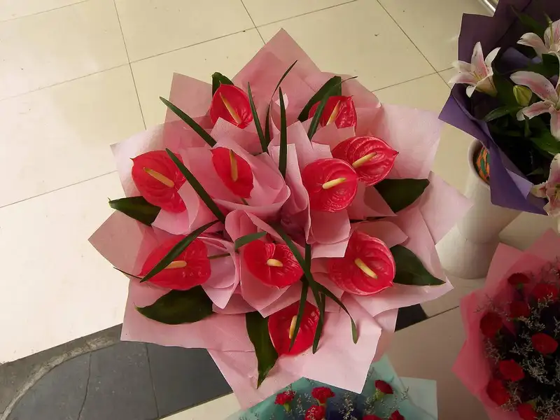 Ảnh hoa tặng khai trương nổi bật, thu hút mọi ánh nhìn Ảnh hoa tặng khai trương nổi bật, thu hút mọi ánh nhìn
