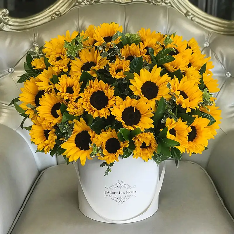 Hình ảnh hoa khai trương đẹp với màu sắc nổi bật Hình ảnh hoa khai trương đẹp với màu sắc nổi bật