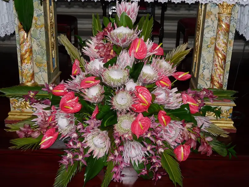 Hình ảnh hoa khai trương đẹp mang đến không khí tươi mới Hình ảnh hoa khai trương đẹp mang đến không khí tươi mới