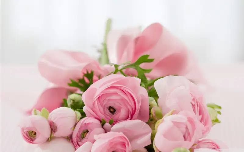 Tạo ấn tượng với hình ảnh hoa tặng sinh nhật con gái đầy ý nghĩa Tạo ấn tượng với hình ảnh hoa tặng sinh nhật con gái đầy ý nghĩa