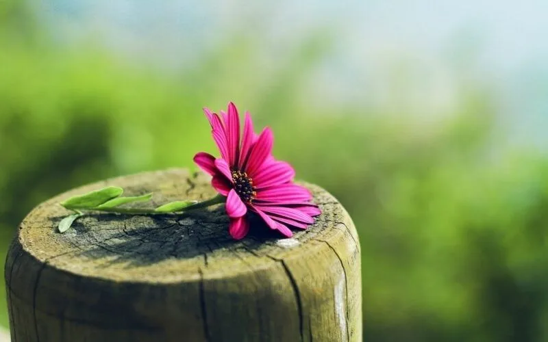 Thêm chút niềm vui vào ngày dài với avatar lạc quan. Thêm chút niềm vui vào ngày dài với avatar lạc quan.