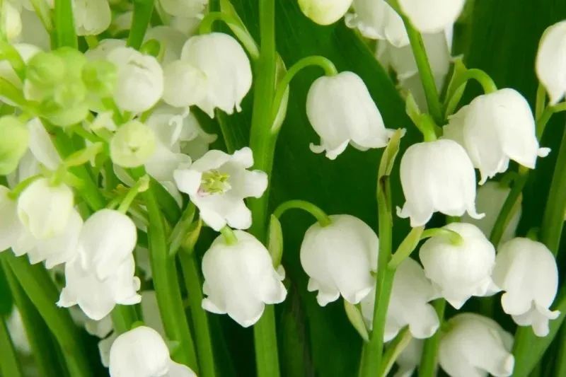 Thêm chút hy vọng vào ngày mới bằng avatar lạc quan tươi sáng. Thêm chút hy vọng vào ngày mới bằng avatar lạc quan tươi sáng.