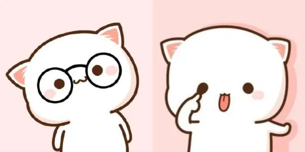 Avatar meme cute phù hợp mọi phong cách vui nhộn Avatar meme cute phù hợp mọi phong cách vui nhộn