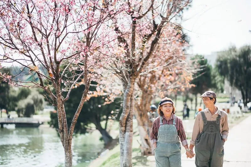 Hình ảnh đôi trai gái yêu nhau bên đồi hoa tím Hình ảnh đôi trai gái yêu nhau bên đồi hoa tím