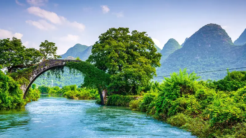 Khám phá vẻ đẹp của thiên nhiên qua hình nền phong cảnh rừng Khám phá vẻ đẹp của thiên nhiên qua hình nền phong cảnh rừng
